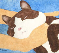 Why Do Cats Like to Sleep at Your Feet?