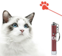 Are Laser Pointers Safe for Cats?